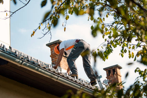 Best Flat Roof Repair Services  in Forest Heights, TX