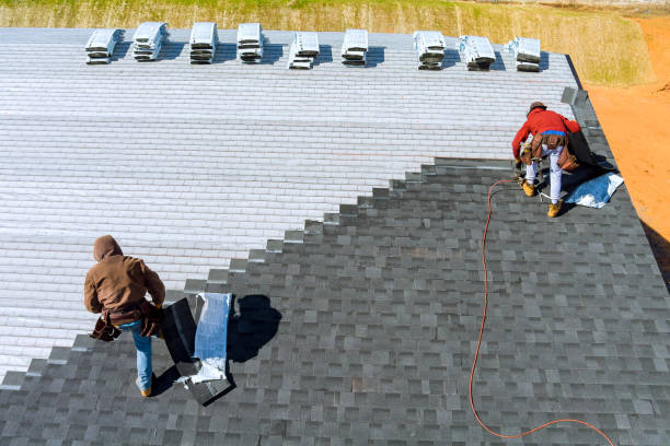 Best Roof Gutter Cleaning  in Forest Heights, TX