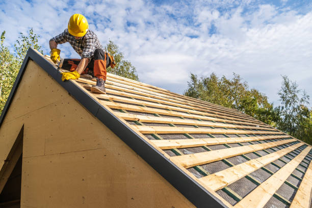 Best Roof Waterproofing Services  in Forest Heights, TX