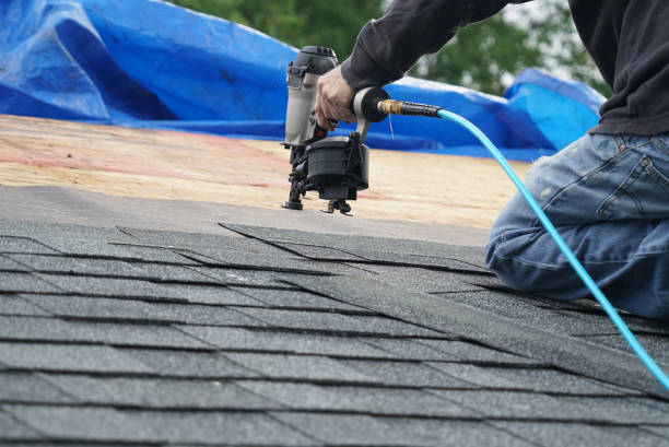 Best Gutter Installation and Roofing  in Forest Heights, TX