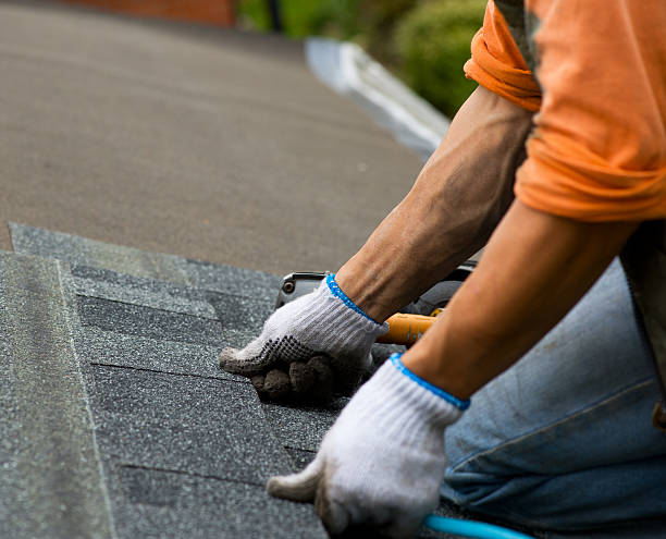 Best Shingle Roofing Installation  in Forest Heights, TX