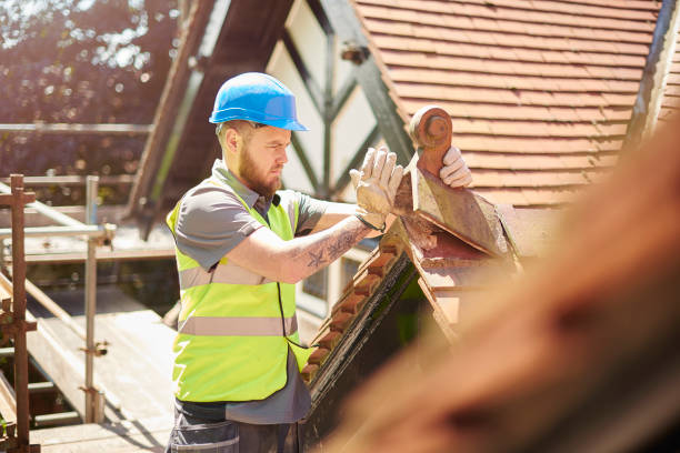 Best Roof Waterproofing Services  in Forest Heights, TX
