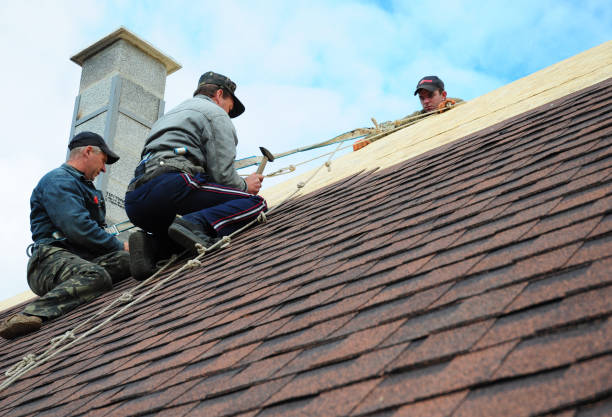 Best Emergency Roof Repair  in Forest Heights, TX